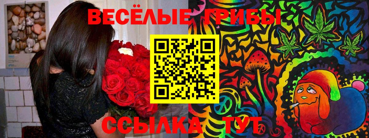 Галлюциногенные грибы ЛСД  Вход с VPN  Новосибирск  Псилоцибиновые грибы Cubensis 
